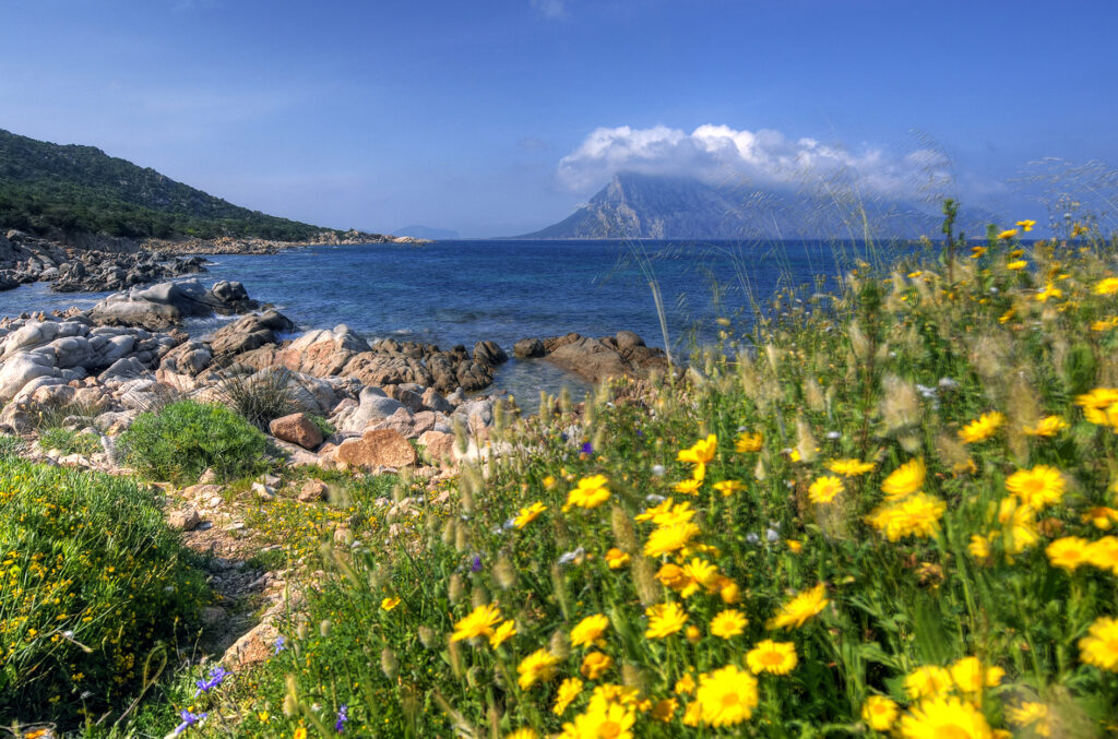 Veduta dell' isola di Tavolara da Punta Aldia.