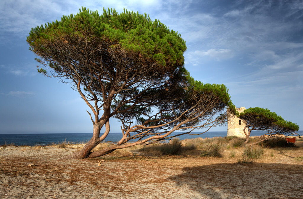 La torre aragonese a San Giovanni di Posada.