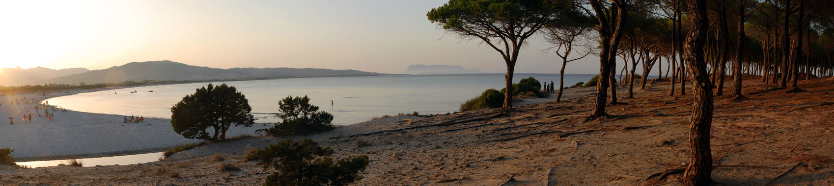 Veduta della spiaggia di Sant' Anna a Tanaunella, dalla pineta al tramonto.