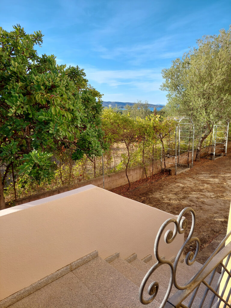 Appartamento P1 - vista sul giardino